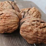 Саджанець Волоський горіх  Буковинська Бомба